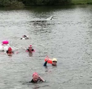 Jodie in the yellow hat, waving while mid open water race!